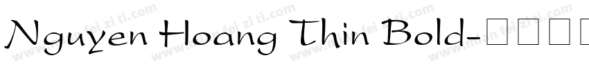 Nguyen Hoang Thin Bold字体转换